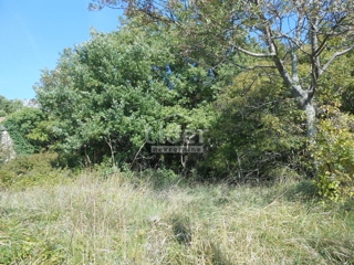 Land - Sale - PRIMORSKO-GORANSKA - VINODOLSKA OPĆINA - BRIBIR