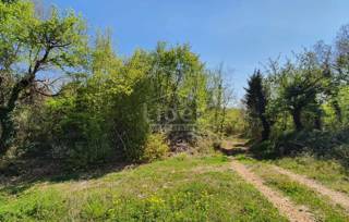 Land - Sale - ISTARSKA - SVETI LOVREČ - KRUNČIĆI