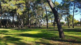Land - Sale - ISTARSKA - ROVINJ - ROVINJ