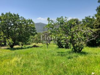 Land - Sale - PRIMORSKO-GORANSKA - VINODOLSKA OPĆINA - BRIBIR