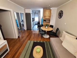 Flat - Rent - PRIMORSKO-GORANSKA - RIJEKA - BELVEDER