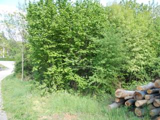 Land - Sale - PRIMORSKO-GORANSKA - RIJEKA - RIJEKA