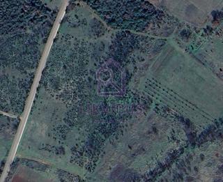 Land - Sale - ISTARSKA - LIŽNJAN - VALTURA