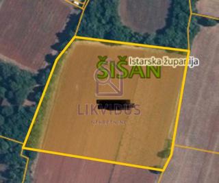 Land - Sale - ISTARSKA - LIŽNJAN - ŠIŠAN