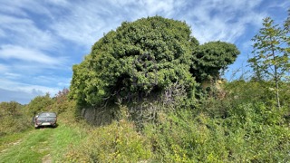 House - Sale - ISTARSKA - CEROVLJE - DRAGUĆ