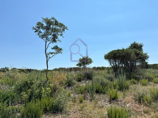 Land - Sale - ISTARSKA - MEDULIN - MEDULIN