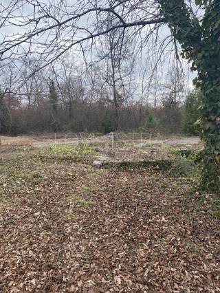 Land - Sale - ISTARSKA - POREČ - POREČ