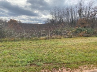 Land - Sale - ISTARSKA - POREČ - POREČ