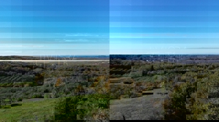 Land - Sale - ISTARSKA - VIŽINADA - VIŽINADA