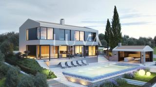 Land - Sale - ISTARSKA - BUJE - BUJE