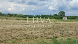 Land - Sale - ZAGREBAČKA - VELIKA GORICA - ŠĆITARJEVO