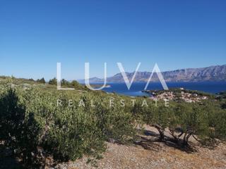 Land - Sale - SPLITSKO-DALMATINSKA - BRAČ - POVLJA