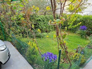 House - Sale - ZADARSKA - ZADAR - ZADAR