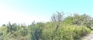 Land - Sale - SPLITSKO-DALMATINSKA - SPLIT - ŽNJAN