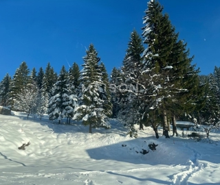 Zemljište - Prodaja - PRIMORSKO-GORANSKA - RAVNA GORA - RAVNA GORA