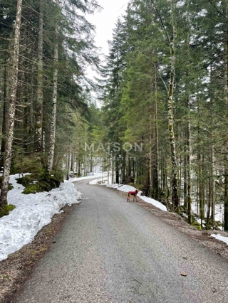 Grundstück - Verkauf - PRIMORSKO-GORANSKA - RAVNA GORA - RAVNA GORA