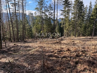 Land - Sale - PRIMORSKO-GORANSKA - RAVNA GORA - RAVNA GORA