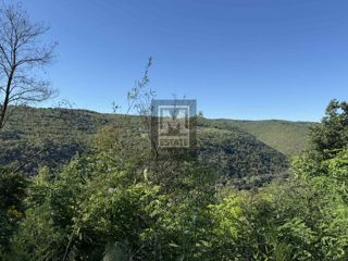 Land - Sale - ISTARSKA - MOTOVUN - MOTOVUN