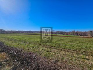 Land - Sale - ISTARSKA - POREČ - POREČ