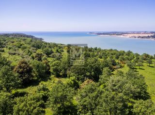 Land - Sale - ISTARSKA - POREČ - POREČ