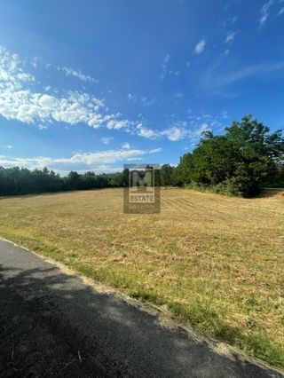 Land - Sale - ISTARSKA - TINJAN - RADETIĆI