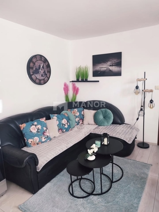Flat - Rent - PRIMORSKO-GORANSKA - RIJEKA - PEHLIN