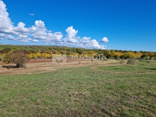 Land - Sale - ISTARSKA - KANFANAR - JURAL