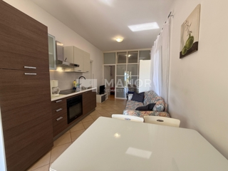 Flat - Rent - PRIMORSKO-GORANSKA - RIJEKA - BRESTOVICE