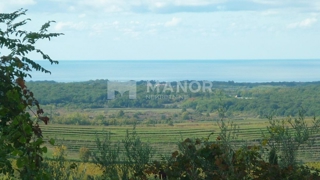 Grundstück - Verkauf - ISTARSKA - BUJE - BUJE