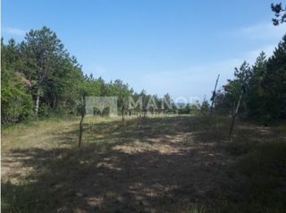Land - Sale - ISTARSKA - BUZET - BUZET