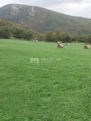 Grundstück - Verkauf - ISTARSKA - KRŠAN - PLOMIN