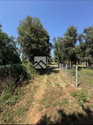 Land - Sale - ISTARSKA - MEDULIN - MEDULIN