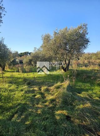 Land - Sale - ISTARSKA - VODNJAN - GALIŽANA