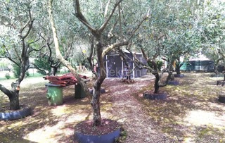 Grundstück - Verkauf - ISTARSKA - MEDULIN - BANJOLE