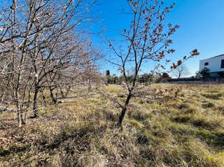 Grundstück - Verkauf - ISTARSKA - MARČANA - MARČANA
