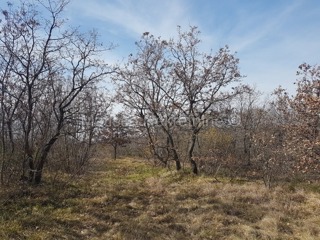 Grundstück - Verkauf - ISTARSKA - LABIN - VINEŽ