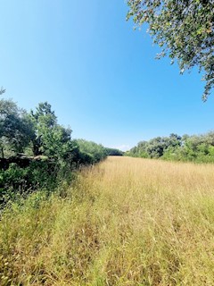 Grundstück - Verkauf - ISTARSKA - LIŽNJAN - ŠIŠAN
