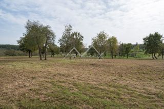 Land - Sale - ISTARSKA - POREČ - POREČ