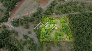 Land - Sale - ISTARSKA - MARČANA - MARČANA