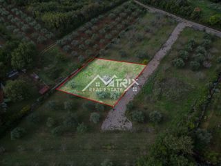 Land - Sale - ISTARSKA - VODNJAN - GALIŽANA