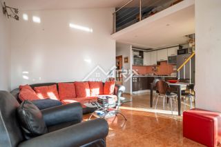 Flat - Sale - ISTARSKA - NOVIGRAD - NOVIGRAD