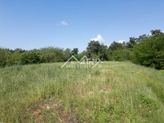 Land - Sale - ISTARSKA - BRTONIGLA - BRTONIGLA
