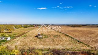 Land - Sale - OSJEČKO-BARANJSKA - BILJE - BILJE