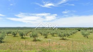 Land - Sale - ISTARSKA - ROVINJ - ROVINJ