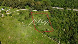 Land - Sale - ISTARSKA - BUJE - BUJE