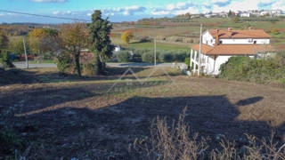 Land - Sale - ISTARSKA - POREČ - POREČ
