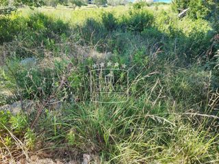 Land - Sale - ZADARSKA - RAŽANAC - LJUBAČ