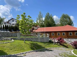 Business premises - Sale - KARLOVAČKA - RAKOVICA - RAKOVICA