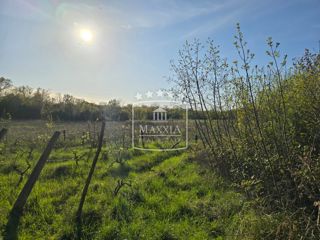 Land - Sale - ZADARSKA - NOVIGRAD - PRIDRAGA