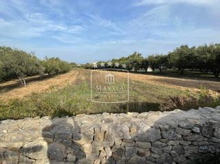 Land - Sale - ZADARSKA - NOVIGRAD - PRIDRAGA